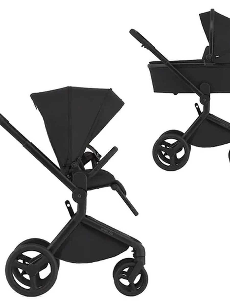Коляска Anex Flo 2в1, цвет Lungo