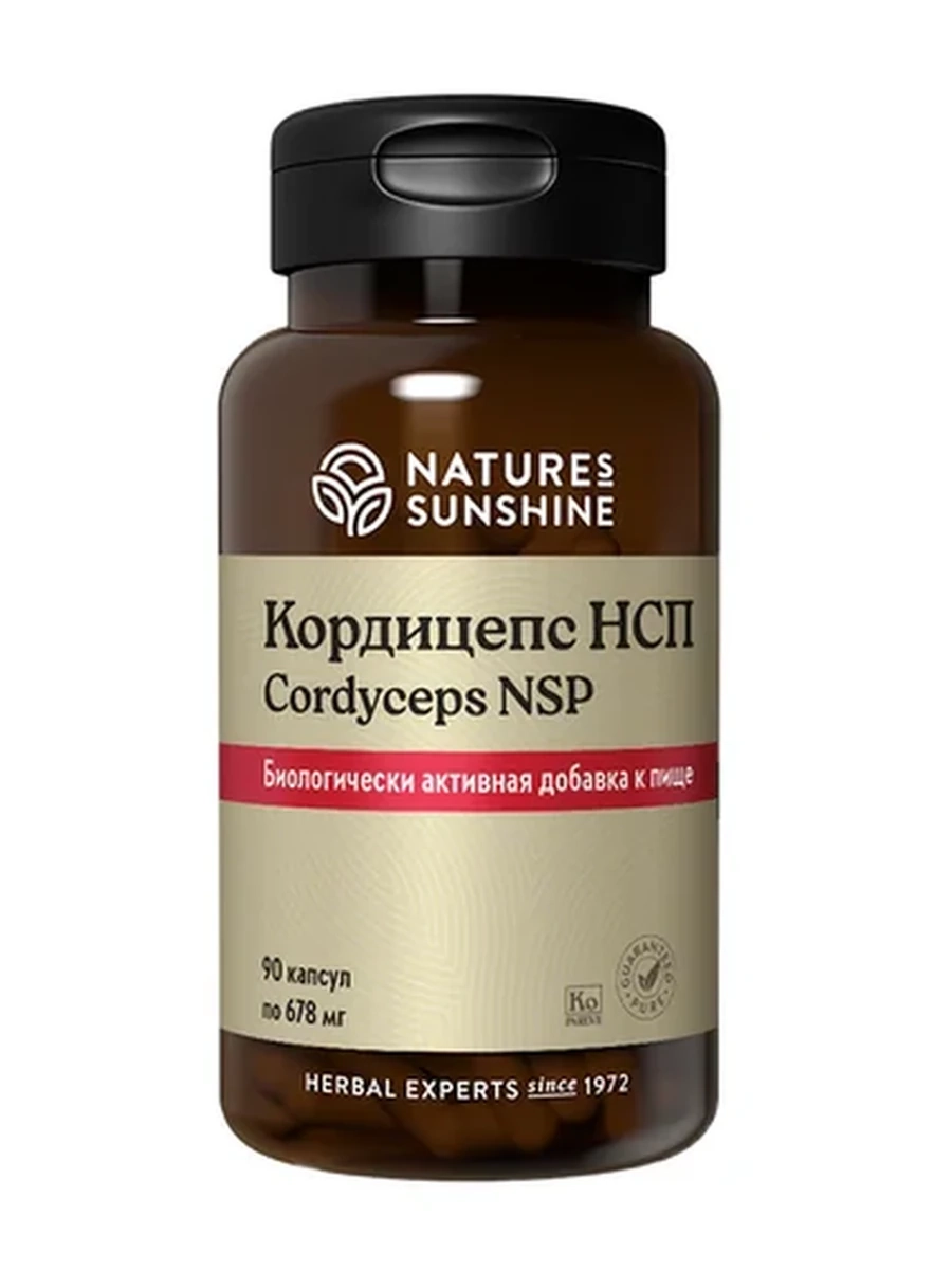 Кордицепс NSP / Cordyceps NSP