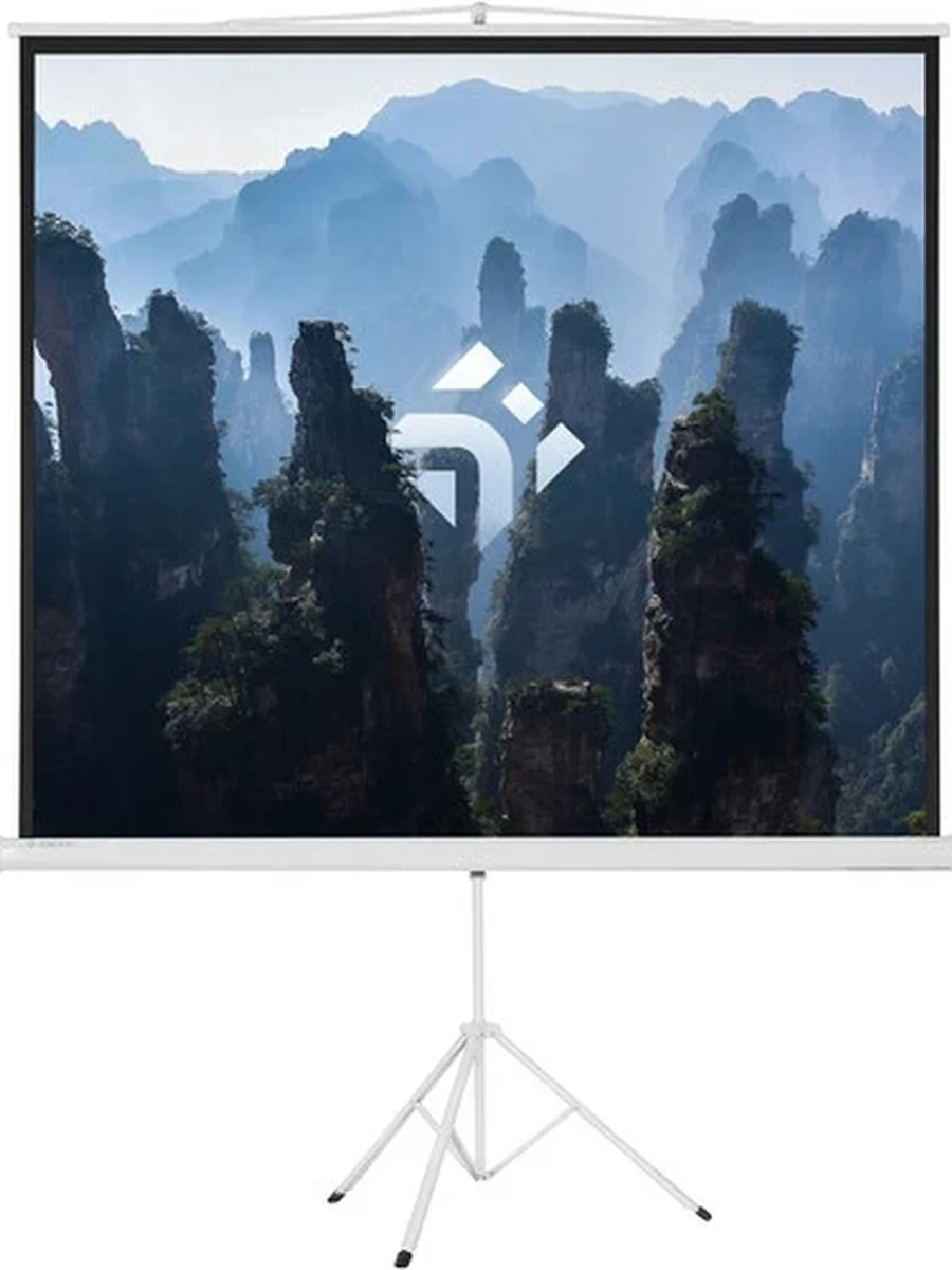 Экран на штативе DEXP TM-70 [178x178 см, 99'', Matte White, 1:1]