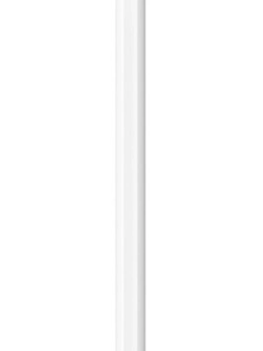 Apple Pencil Pro