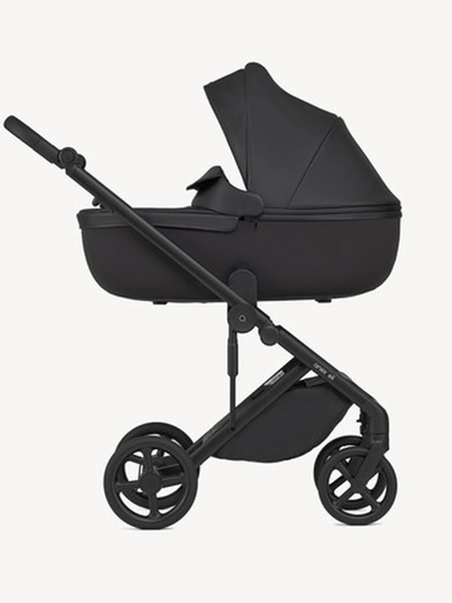 Anex Eli Midnight