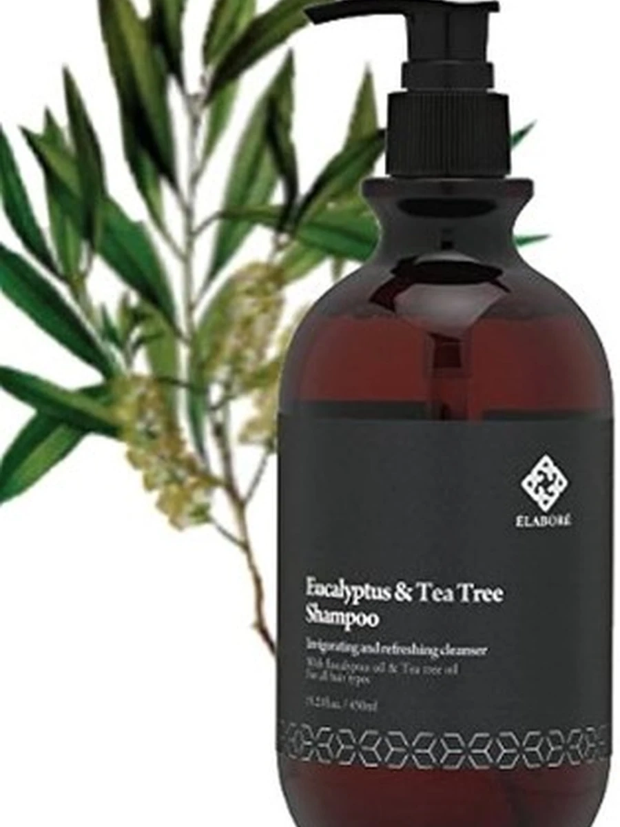 Saehan Elabore Eucalyptus Tea Tree Shampoo Шампунь с эвкалиптом и чайным деревом 450мл