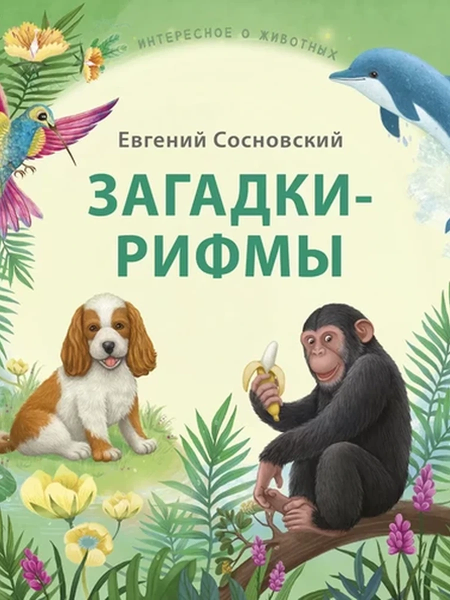 Книжки - картонки. Загадки - рифмы. (10013160/101122/3543520, КИТАЙ)