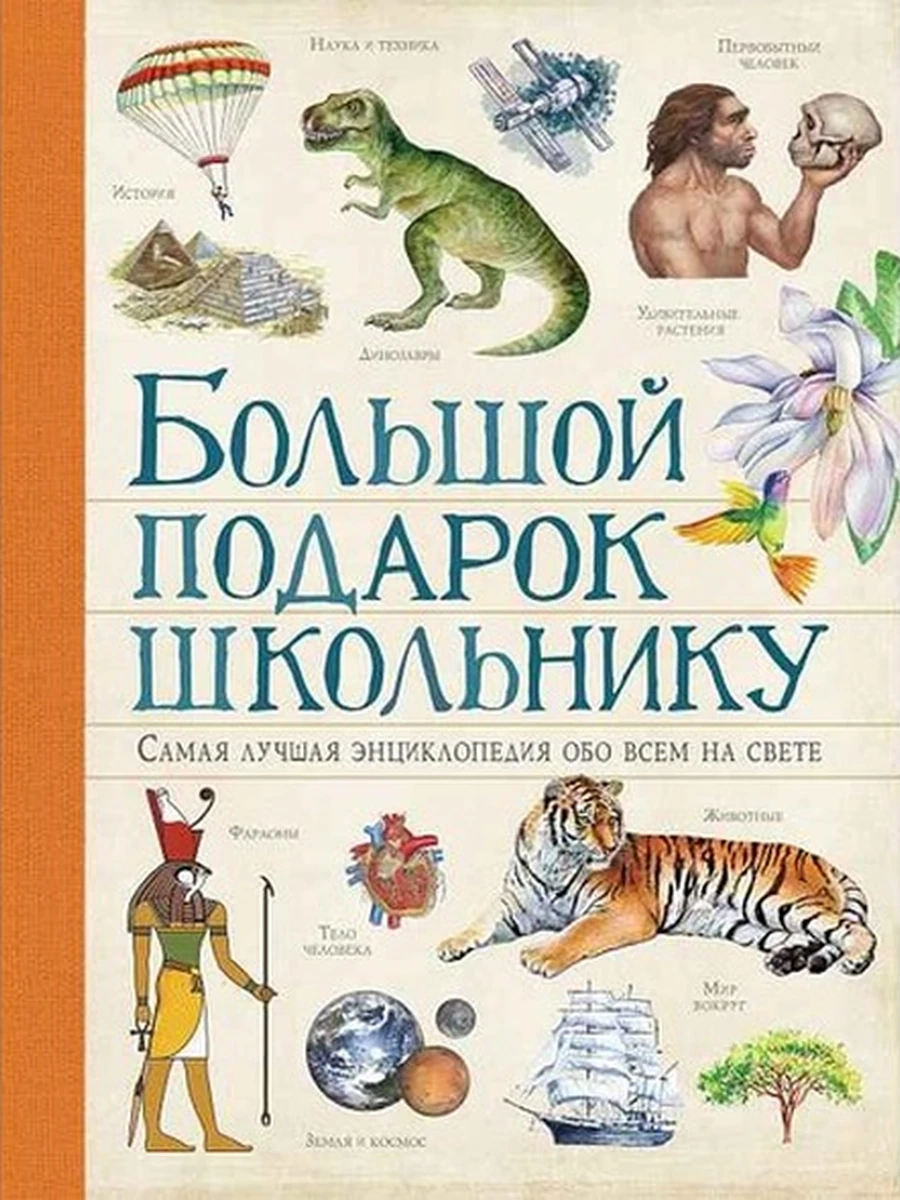 Большой подарок школьнику /РОСМЭН/