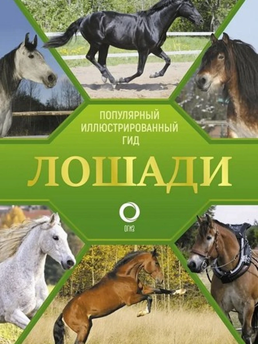 Лошади Популярный иллюстрированный гид Спектор /АСТ/