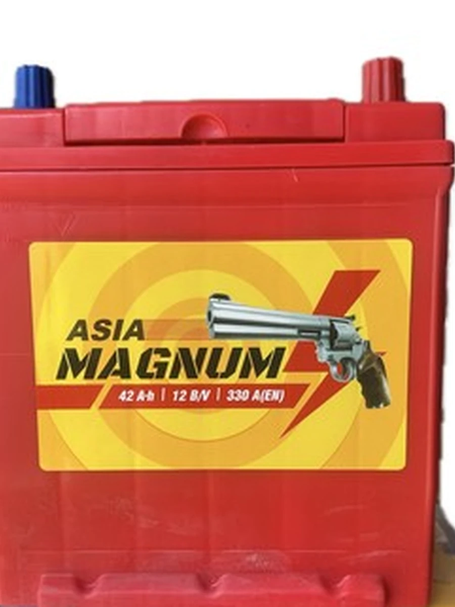 Asia Magnum 40a/ч