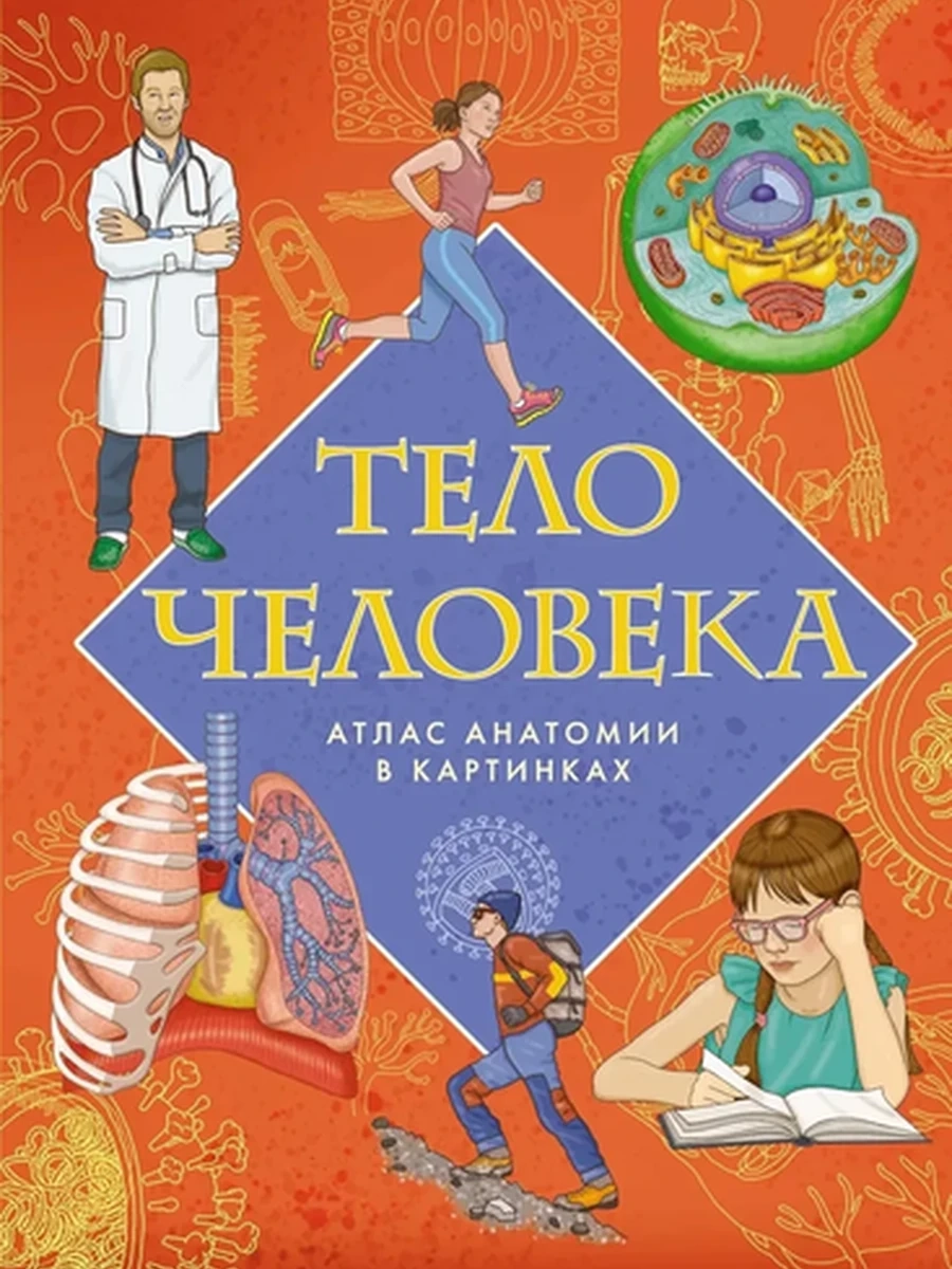 Тело человека Атлас анатомии в картинках Барсотти /Махаон/