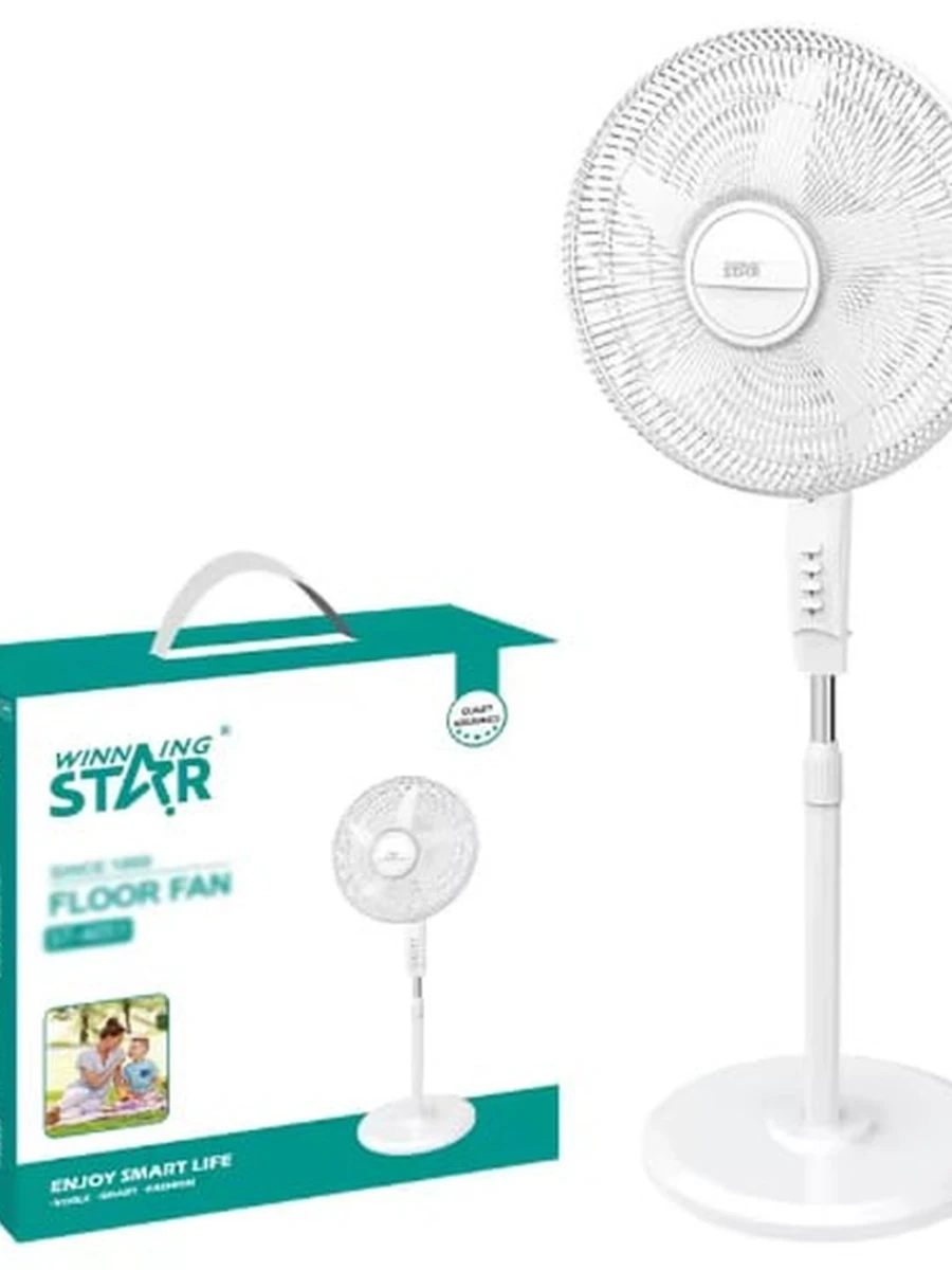 Вентилятор WINNING STAR DFS-496