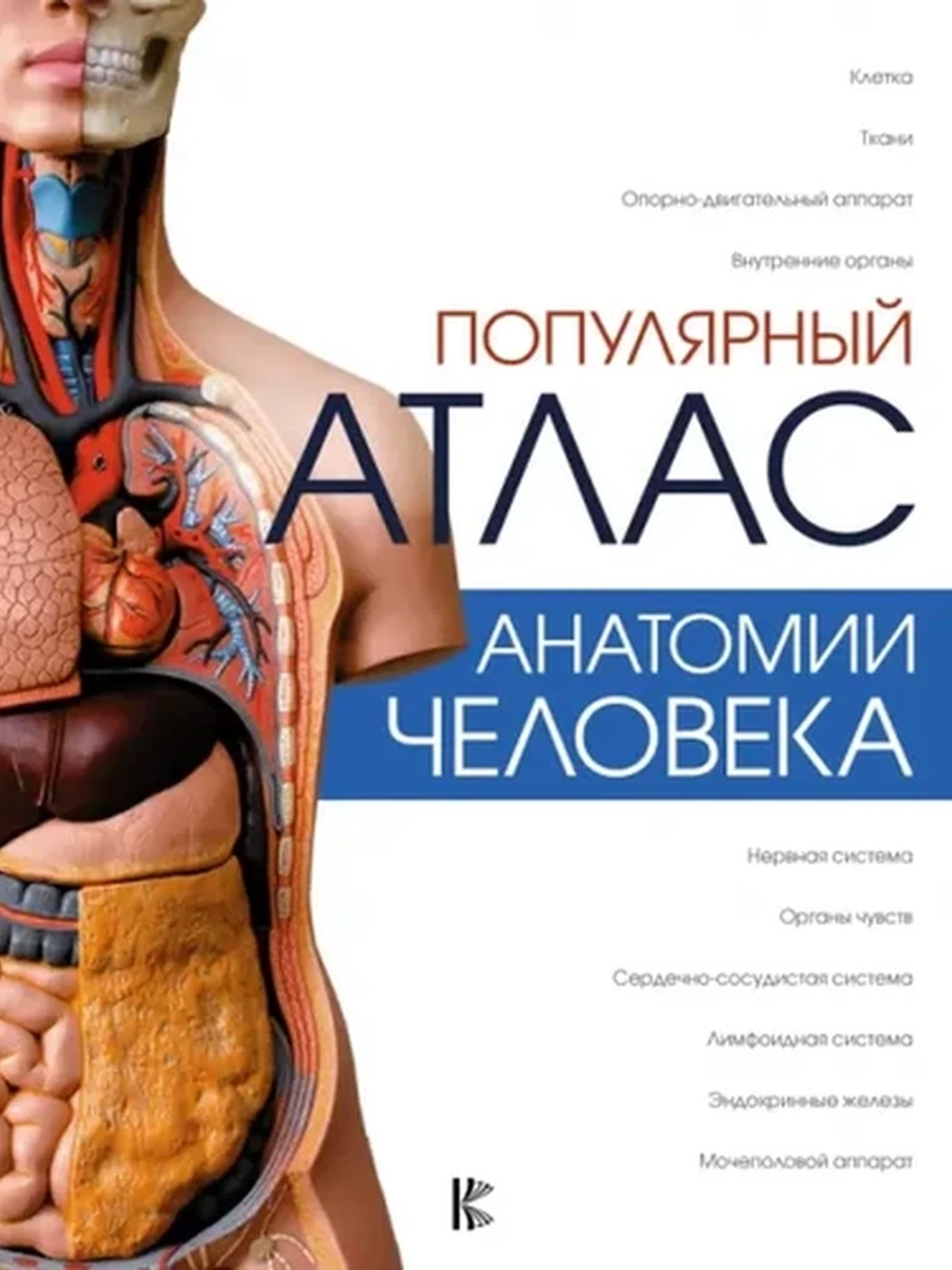 М Популярный атлас анатомии человека Палычева /АСТ/