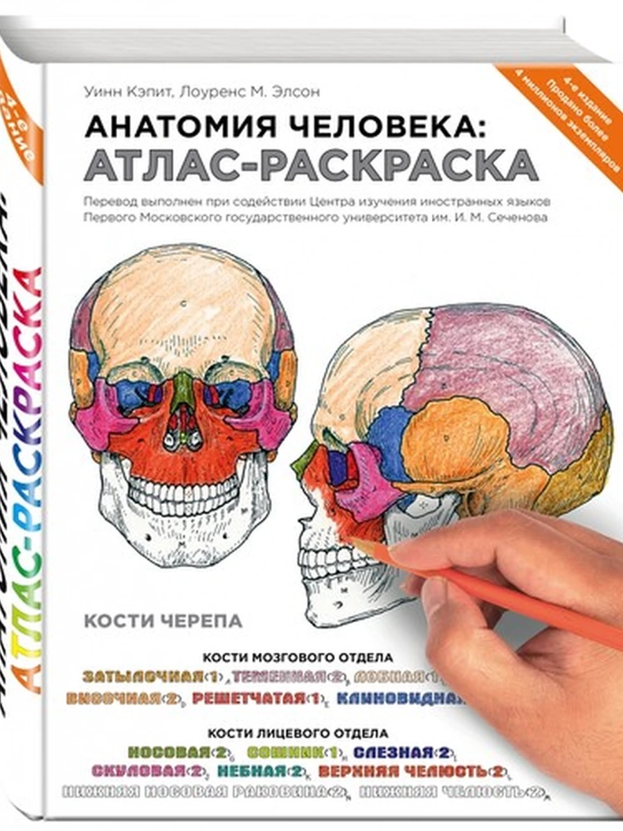 Книга М Анатомия человека. Атлас-раскраска Кэпит /Эксмо