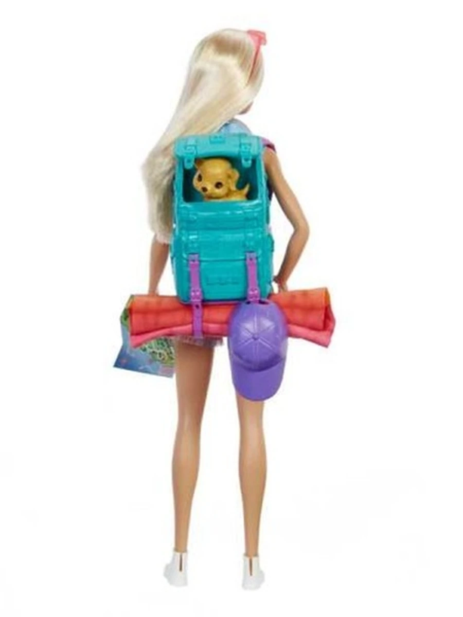 Кукла Barbie & Ken Кемпинг на природе HDF73