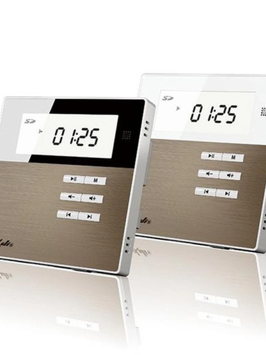 DSPPA M2W (White-Gold) Музыкальный усилитель с 2 потолочными громкоговорителями  DM835W x1+DSP5011L x2 DSPPA звуковой комплект