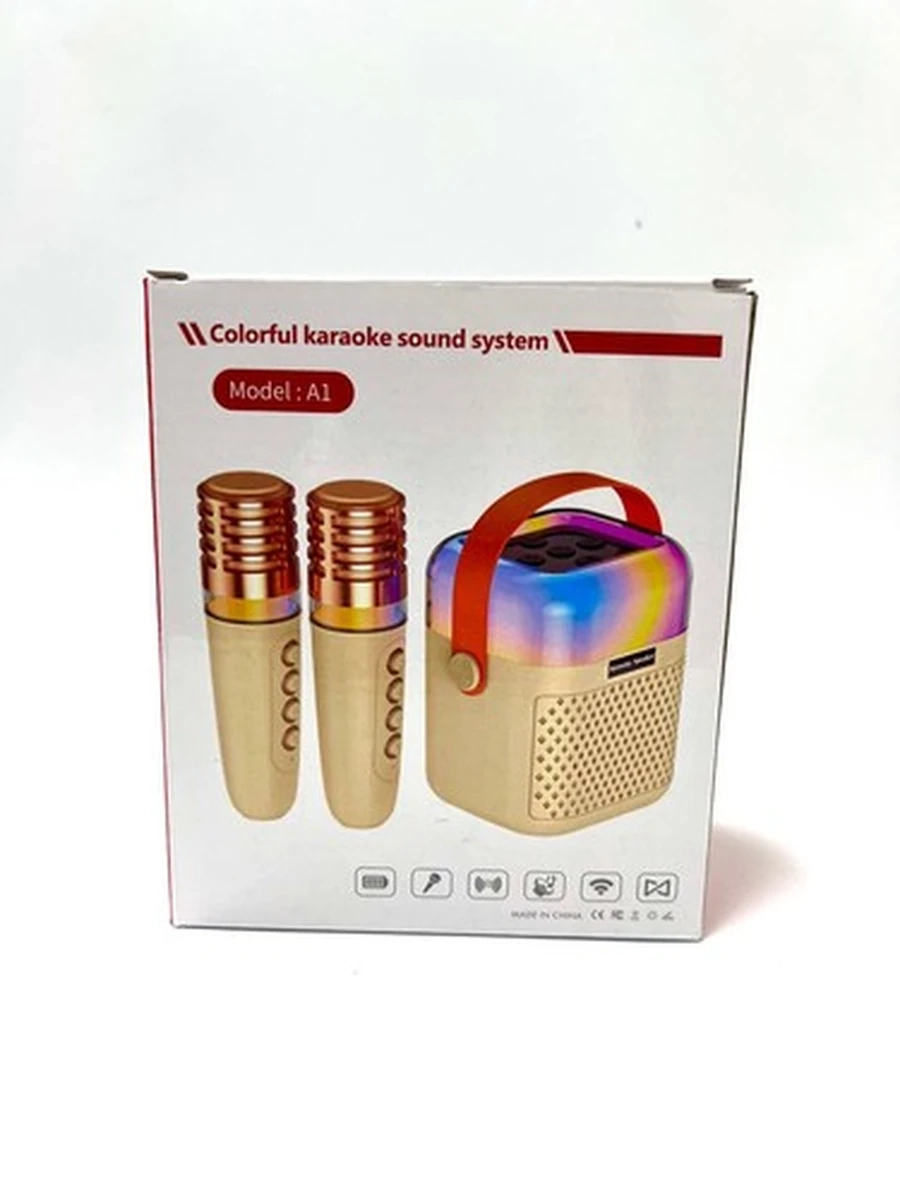 1-A Портативная колонка с микрофонами